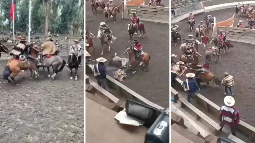 Confederación del Rodeo Chileno se desmarca de violento incidente en medialuna de San Vicente de Tagua Tagua