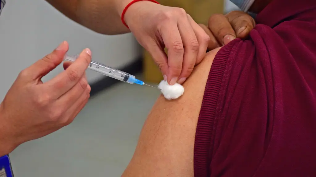 Al 2 de abril de 2025, el 35,5% de la población objetivo se ha vacunado contra la influenza en la provincia de Biobío., La Tribuna