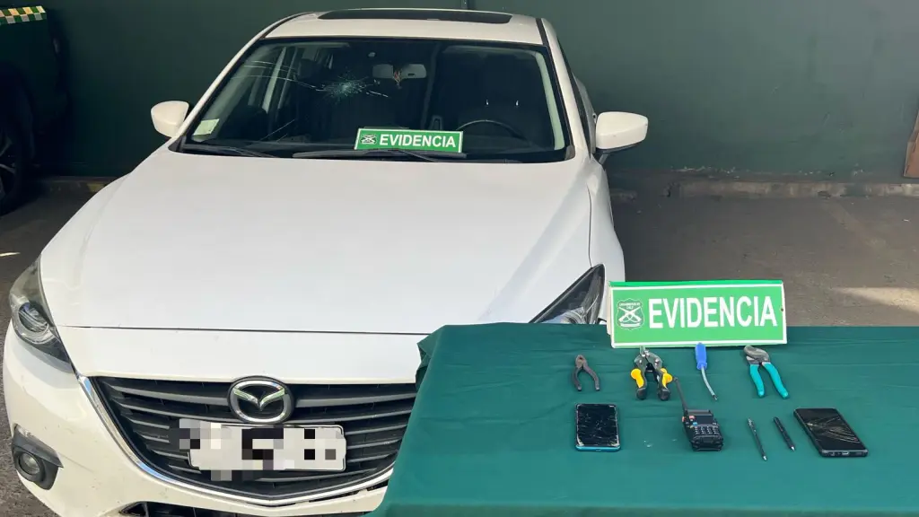 Carabineros incautó diversas especies asociadas al delito., Cedida