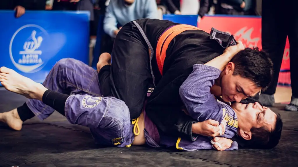 COHAB es un movimiento de origen brasileño Jiu-Jitsu y se centra en la lucha en el suelo y la defensa personal, Cedida