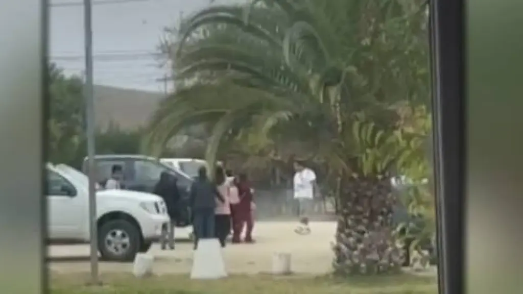 Violenta pelea escolar terminó con apoderados detenidos en liceo de San Pedro de Melipilla, cedida