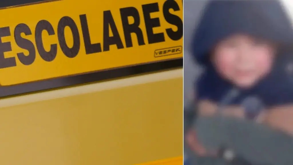 “Mi hijo no llegó al colegio”: habla madre de niño de 3 años que apareció deambulando solo en Hualpén, Bio bio Canal 9 