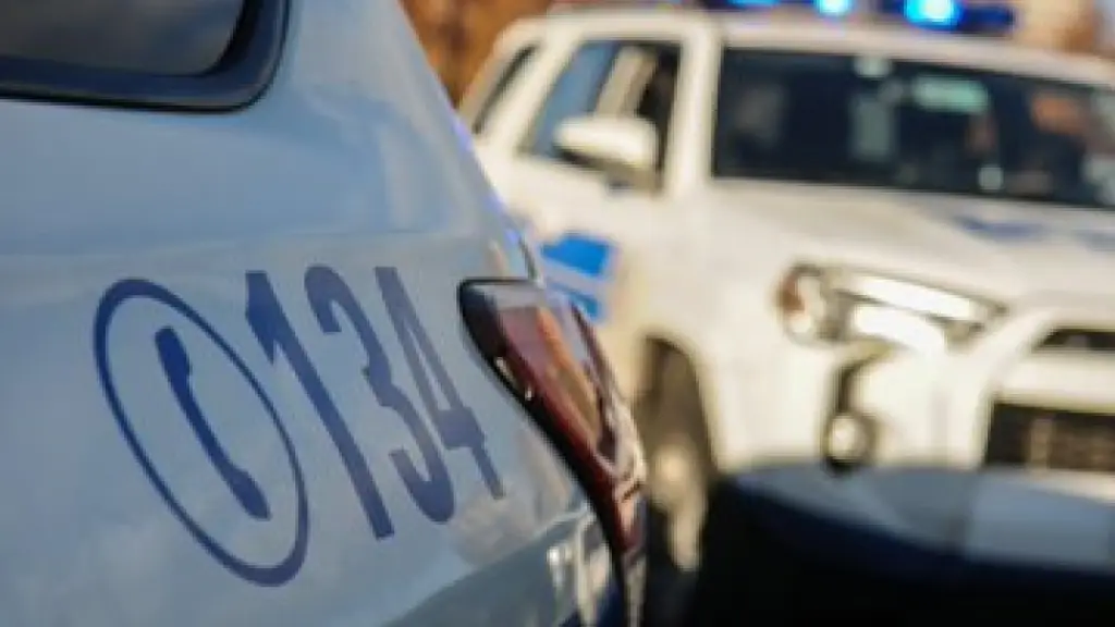 Las diligencias fueron encabezadas por detectives de la PDI, PDI Araucanía