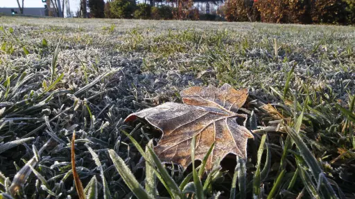 Biobío y zona austral enfrentan drástico descenso de temperaturas y heladas este fin de semana
