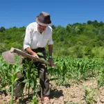 Dentro de los proyectos llevados a cabo, mencionaron un proyecto de ley que haga que la agroindustria respete los precios internacionales de referencia para el agricultor.