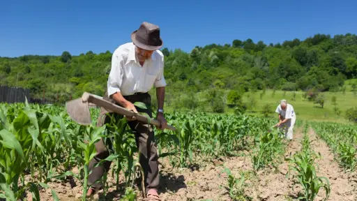 Gremio agrícola impulsa defensa de pequeños y medianos productores ante complejo escenario económico