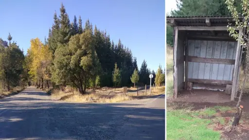 Sin transporte desde el 1 de abril: Evalúan acciones para restablecer locomoción en el norte de Los Ángeles