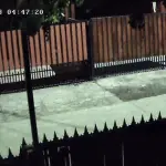 Delincuente sustrayendo especies desde una vivienda de villa Los Ríos., Cedida
