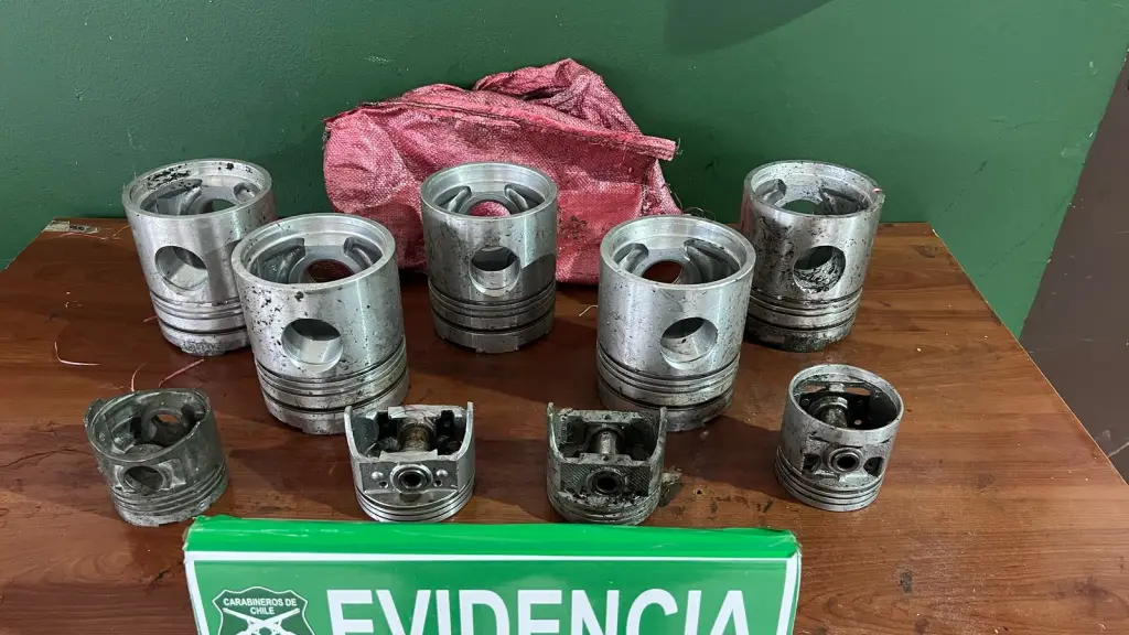 Las especies recuperadas fueron avaluadas en más de 700 mil pesos., Cedida