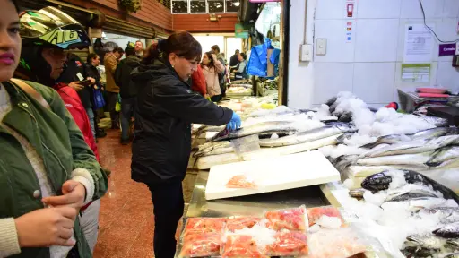  Once sumarios dejan fiscalizaciones de Semana Santa en la región