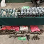 Las diligencias fueron encabezadas por Carabineros de Los Ángeles., Cedida