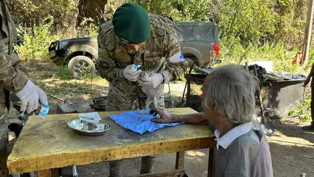 Veterinaria destacamento, cedida