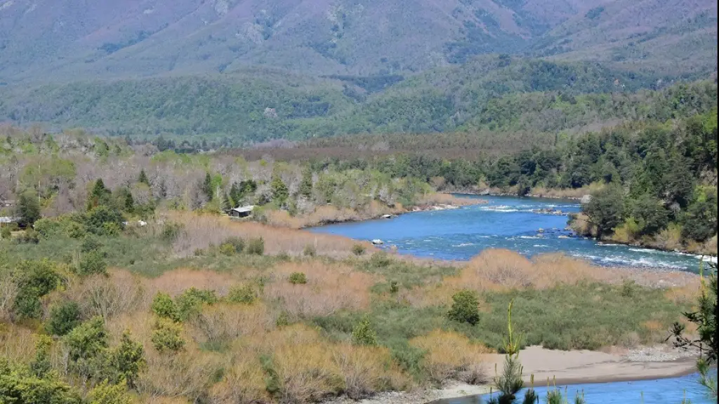 Sernafor, el nuevo organismo que reemplaza a Conaf, Fredy Muñoz, archivo La Tribuna