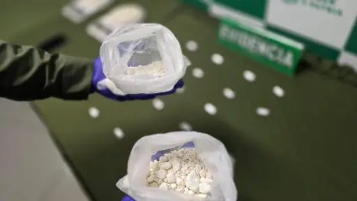 Desarticulan foco de microtráfico de drogas en Talcahuano