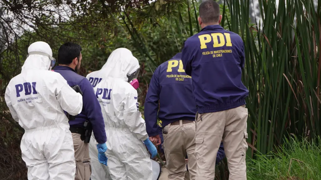  De acuerdo a la información entregada por la PDI y la Fiscalía de Coquimbo, los antecedentes apuntan a un vínculo sentimental previo con el presunto autor del crimen., PDI Chile