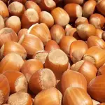 La tarea más importante para los productores de avellano será mirar otros mercados para que no se dé una situación similar a la ocurrida con las cerezas chilenas en China.
