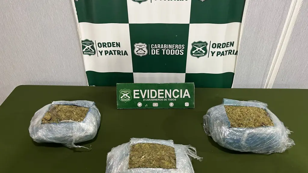 Más de tres kilos de marihuana fueron incautados por Carabineros., Cedida
