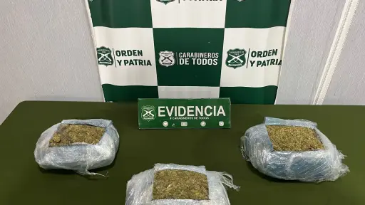  Sorprenden a extranjero con más de tres kilos de Marihuana en Cabrero