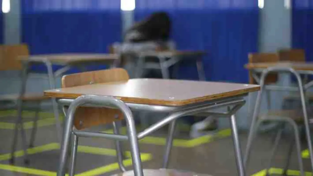 Profesora agrede a alumno con TEA que la habría abofeteado en Temuco, La Tribuna