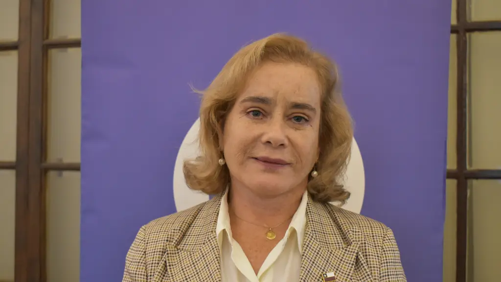 Diputada Flor Weisse, La Tribuna