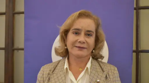 Declaran inadmisible solicitud de desafuero contra diputada UDI, Flor Weisse
