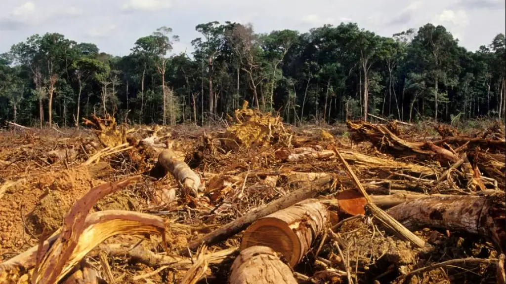 Sobregiro ecólogico, WWF