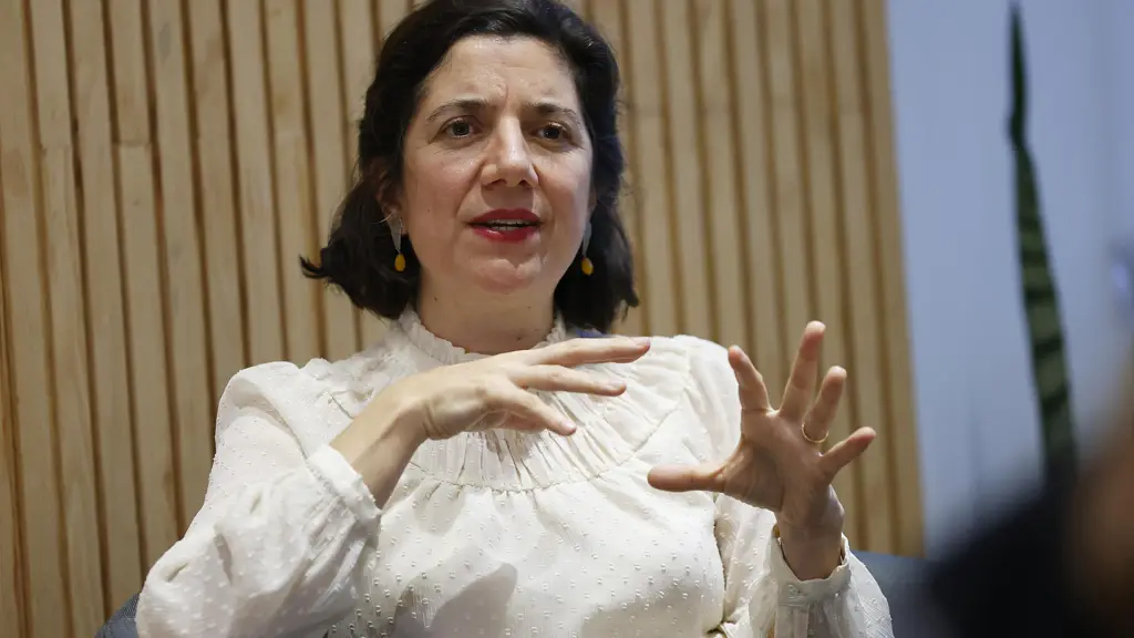 La ministra de Ciencia y Tecnología de Chile y portavoz del Gobierno, Aisen Etcheverry,  EFE/ Elvis González