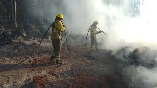 Biobío bajó su ocurrencia de incendios en casi 50% pese a ser la región con más superficie en riesgo