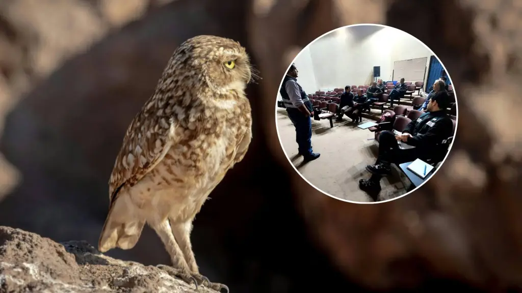 La actividad refuerza el compromiso del SAG con la conservación de la biodiversidad y el control efectivo del manejo de especies., Gentileza | contexto