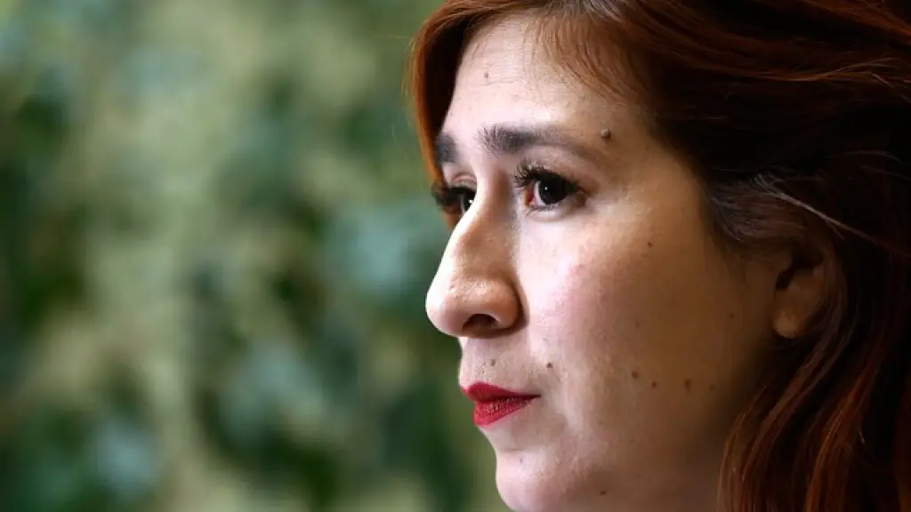 En la audiencia, el abogado querellante Pablo Toloza, en representación de la UDI, anunció que solicitarán la medida cautelar más gravosa: la prisión preventiva. , Agencia Uno.