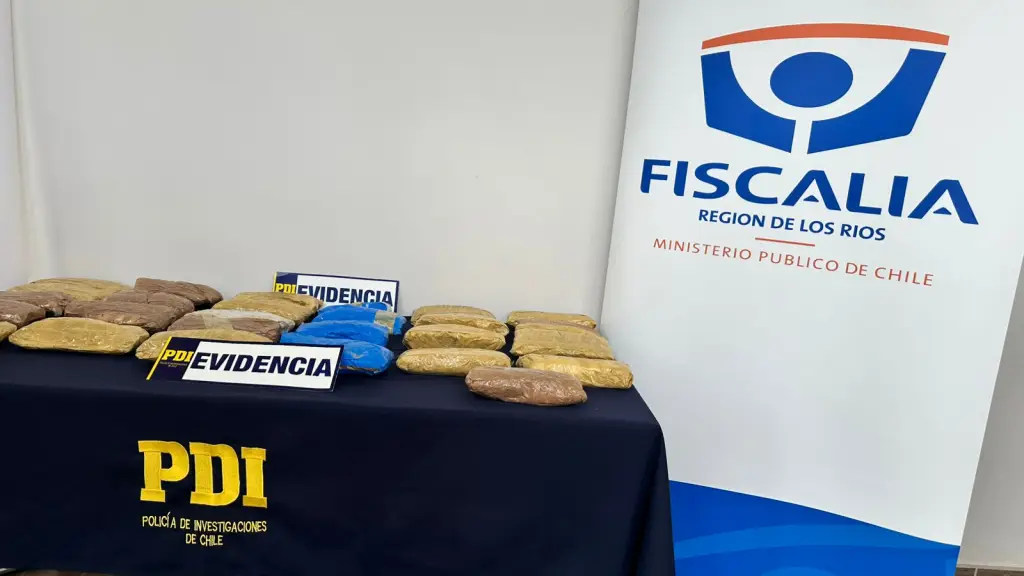 Droga incautada por detectives de la PDI, Cedida