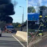 Camión se incendió en plena Ruta 5 Sur a la altura de Mulchén, La Tribuna