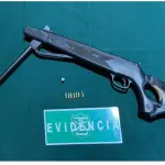 Arma incautada., Cedida