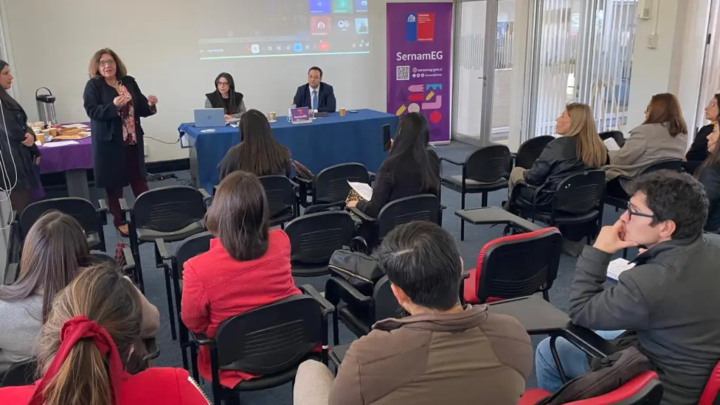 Capacitación de SernamEG y Ministerio Público a abogados, SernamEG