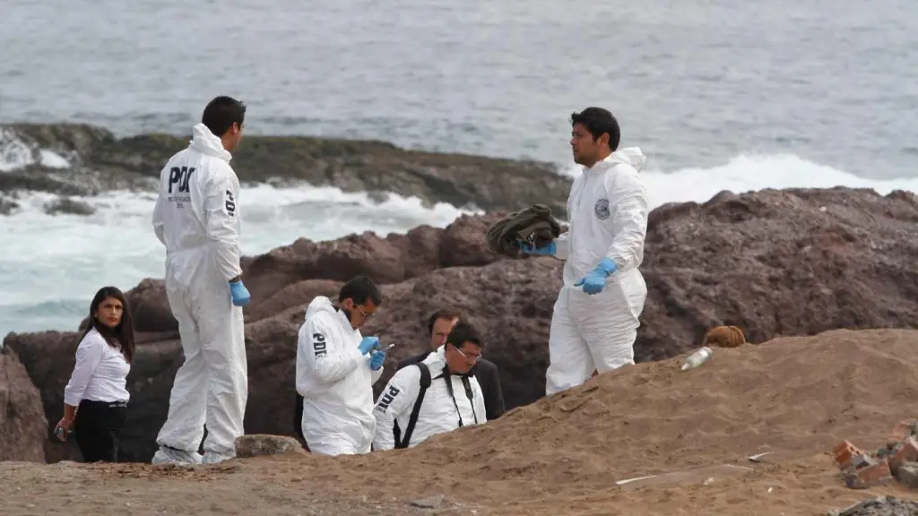 Investigan hallazgo de posibles restos humanos en planta pesquera de Coronel: pericias apuntan al caso Bruma, cedida