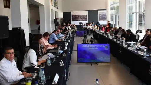 Cores de Biobío rechazan solicitud del Gobierno para financiar gastos del sistema de salud
