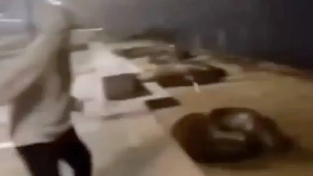 Pantallazo de video en redes sociales, cedida