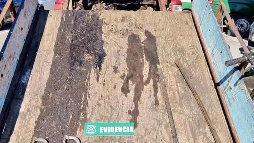 Un carro de arrastre está dentro de las especies recuperadas por Carabineros., Carabineros de Chile