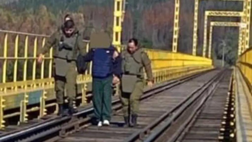 Carabineros evitó el suicidio de un joven de 27 años en Viaducto Malleco, cedida