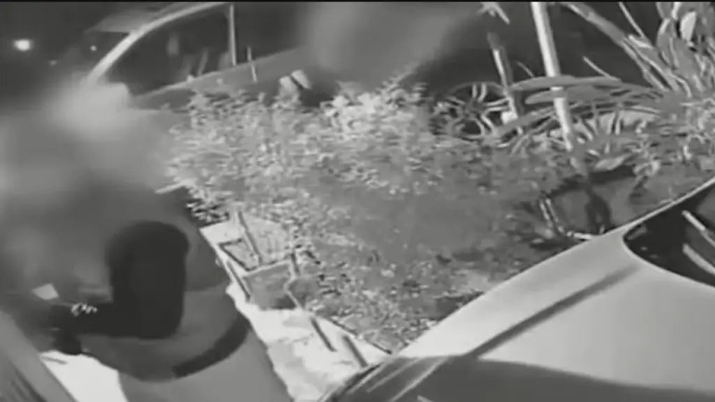 Delincuentes quedan en libertad tras ser baleados por dueño de casa durante robo frustrado en Maipú, cedida