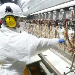 El tamaño del mercado chileno obliga a las distintas industrias nacionales a exportar e importar para promover mercados competitivos.