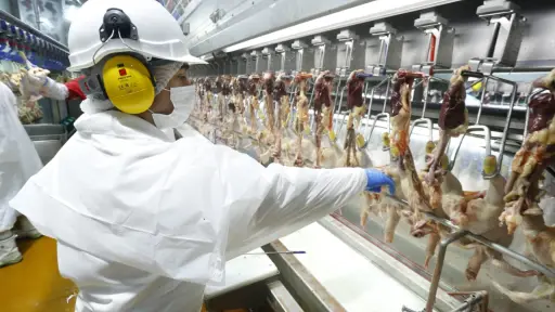 Productores de carne advierten que aranceles de EE.UU. dañan a ambos lados del mercado