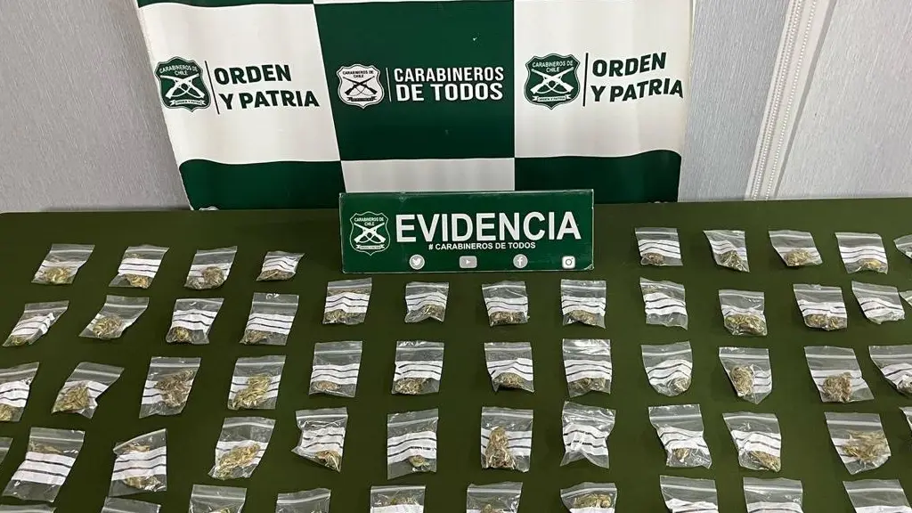 Incautación de drogas ilícitas., Cedida