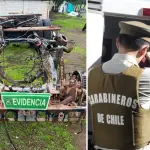 Camión robado escondido en parcela y dos prófugos capturados: así terminó operativo de Carabineros en Los Ángeles, Carabineros de Chile