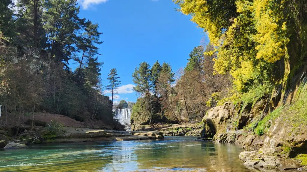 Parque Natural La Cantera se convertirá en el nuevo pulmón verde de Saltos del Laja, Cedidas