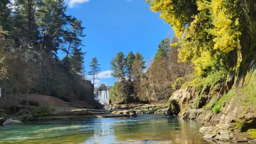 Parque Natural La Cantera se convertirá en el nuevo pulmón verde de Saltos del Laja