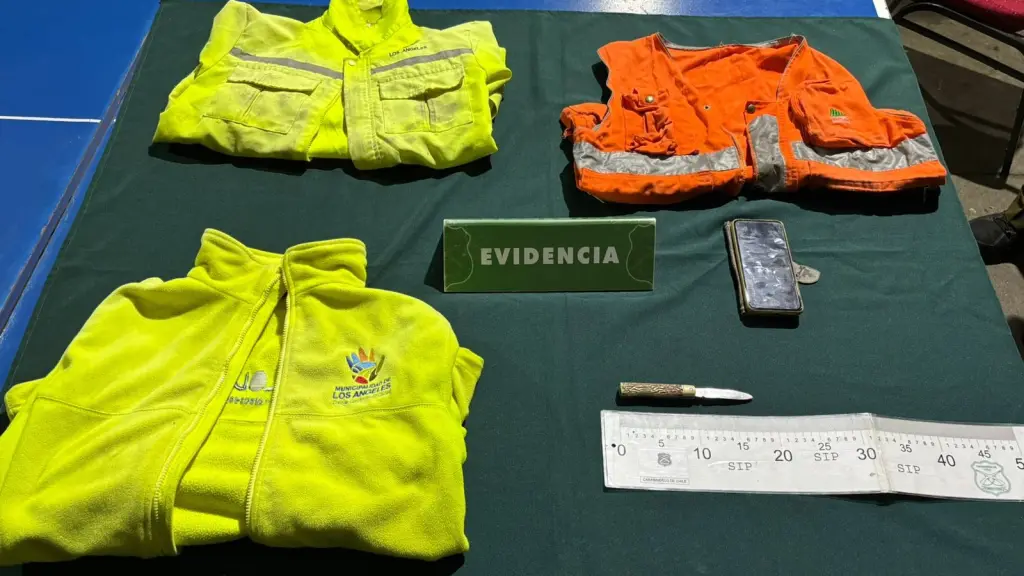 Especies incautadas por Carabineros., Cedida