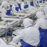 La decisión de cerrar las operaciones de PacificBlu tendrá un impacto directo en alrededor de 800 trabajadores, quienes quedarán sin empleo. , Pacific Blu