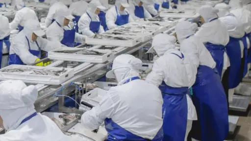 Talcahuano hoy es más pobre y atrasada que ayer: Pescadores industriales acusan retroceso económico por nueva ley de cuotas