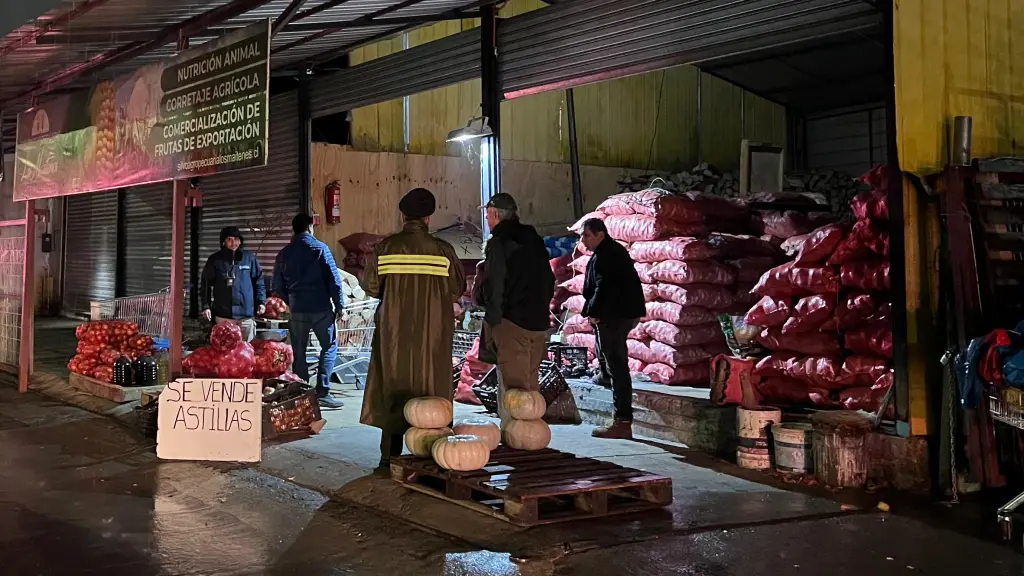 Fiscalización a centros de distribución de leña., Cedida.